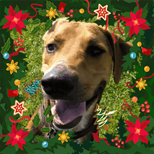 Atlas Christmas