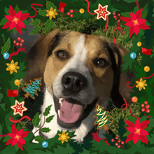 Atom Christmas
