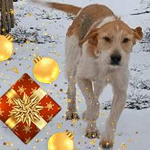 Bumble Christmas