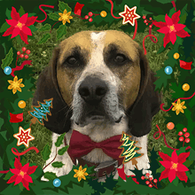 Turbo Christmas